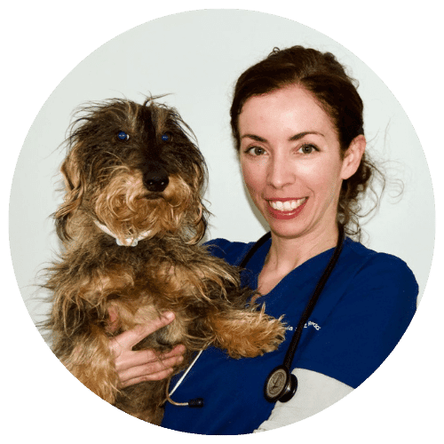 María Suárez Redondo formación terapia láser veterinaria