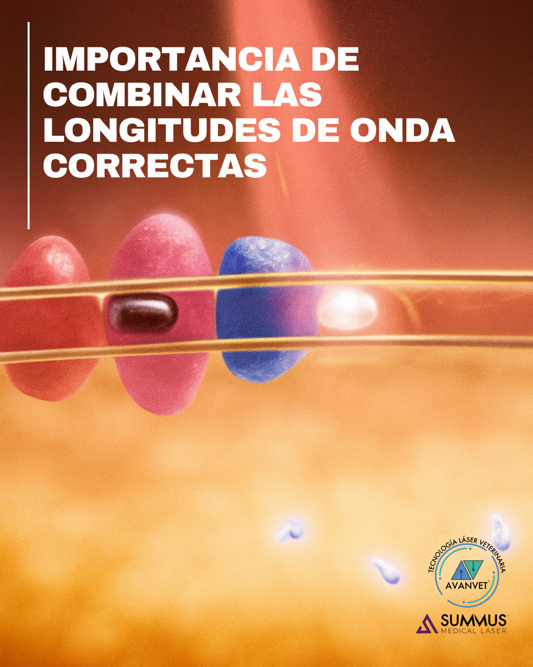 IMPORTANCIA DE COMBINAR LAS LONGITUDES DE ONDA CORRECTAS