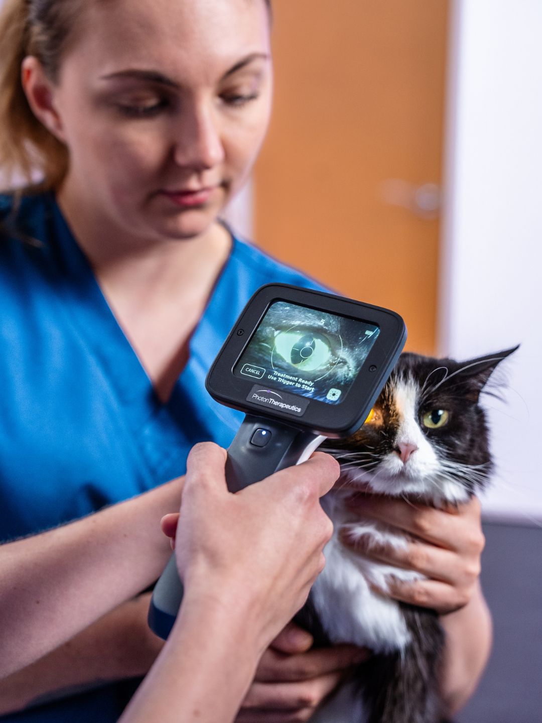 Uso de PhotonUVC Vet en un paciente felino