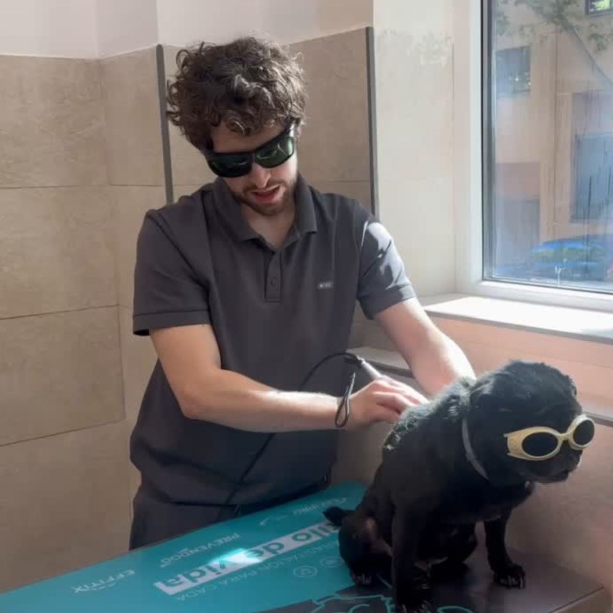 Diego Villalaín Hernando formación terapia láser veterinaria